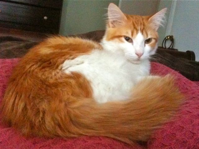 Leif on the bed
