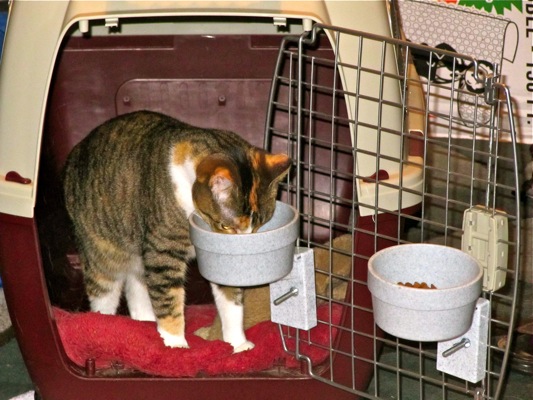 Leif in Flike's Crate