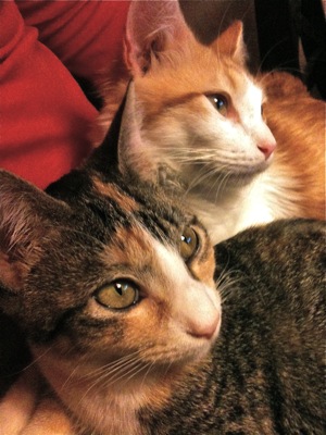 Lily and Leif