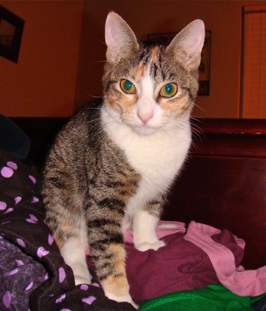 Lily sitting up